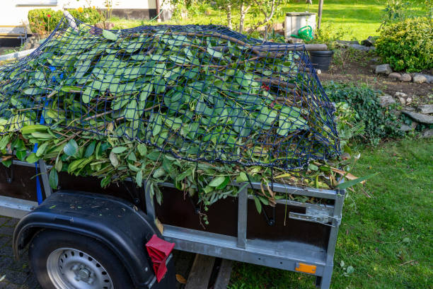 Best Shed Removal  in Mitchell, IL